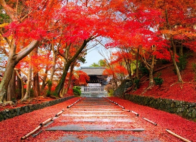 Nhật Bản mùa lá đỏ, du lịch Nhật Bản mùa lá đỏ