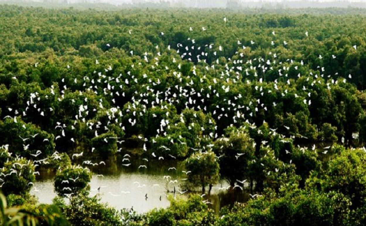 vườn quốc gia tràm chim, địa điểm du lịch miền tây gần sài gòn