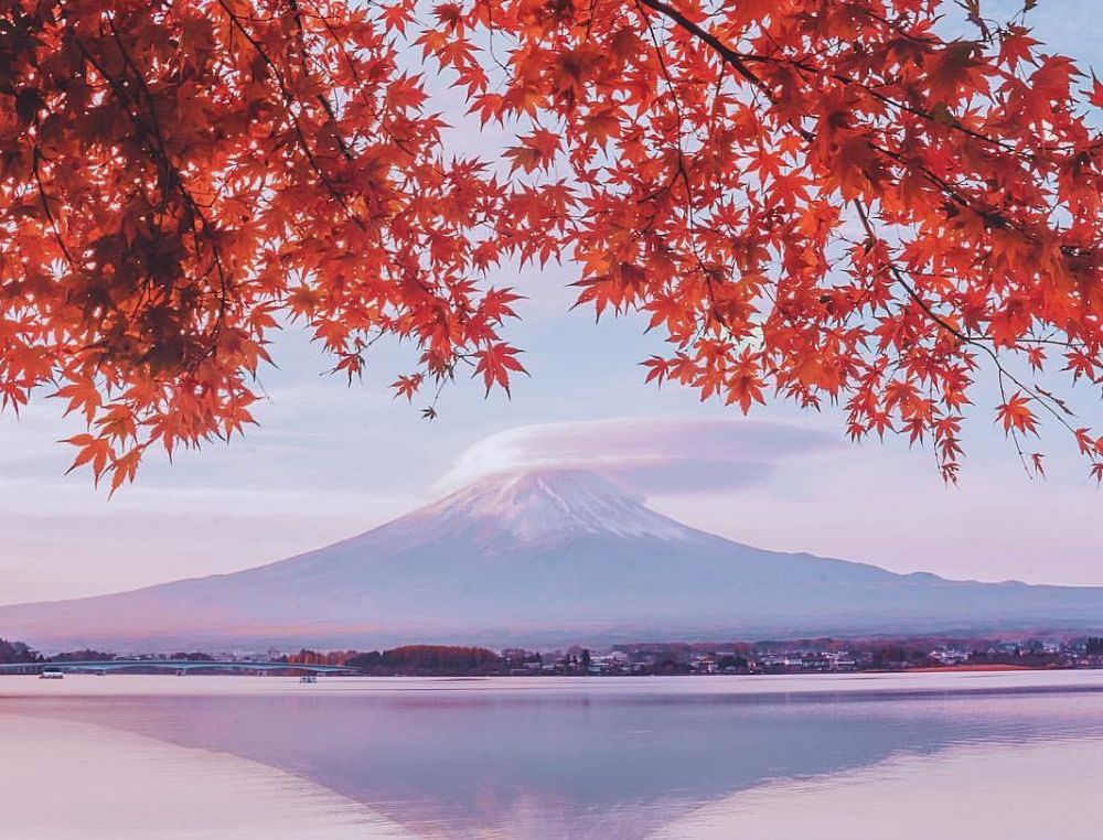 Cẩm nang du lịch Nhật Bản, mùa thu ngắm lá phong rực rỡ tại Nhật Bản.
